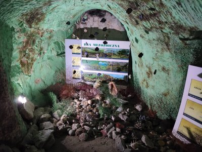 Wakacyjna AktywAKCJA z Domem Kultury